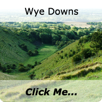 Wye Downs
